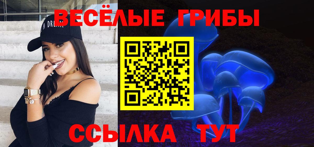 Калуга  Галлюциногенные грибы Cubensis  Вход с VPN 